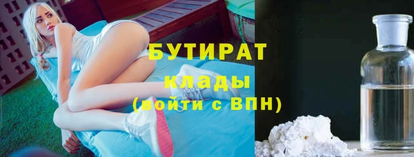 крисы Няндома