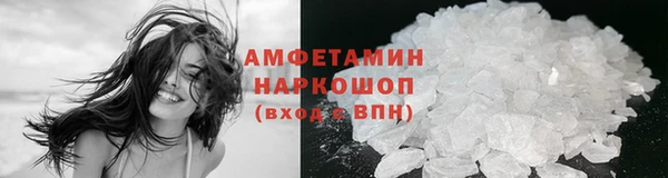 крисы Няндома