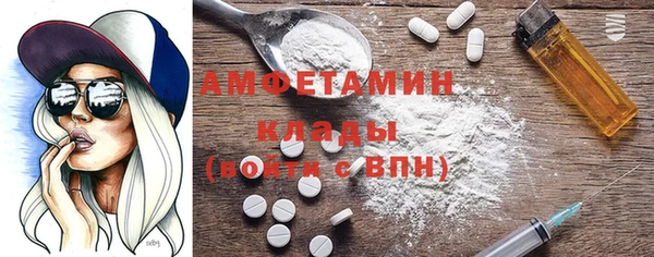 крисы Няндома