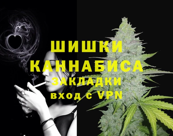 крисы Няндома