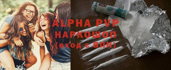 крисы Няндома