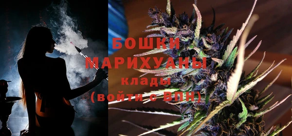 крисы Няндома
