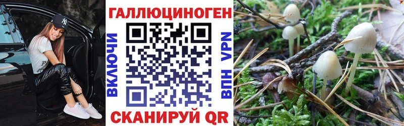 Галлюциногенные грибы мухоморы  Ардатов 